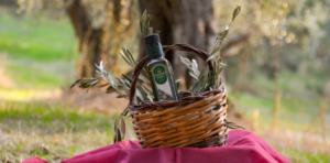 benessere e consumo di olio extravergine di oliva lucano frantoio oleario colangelo basilicata